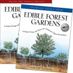 EFG